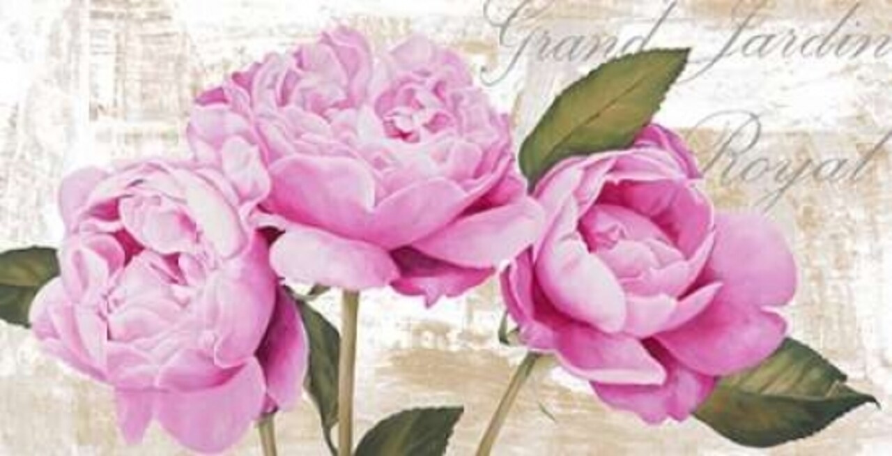 Grand Jardin Royal Poster Print by Jenny Thomlinson - Item # VARPDX2JT1884